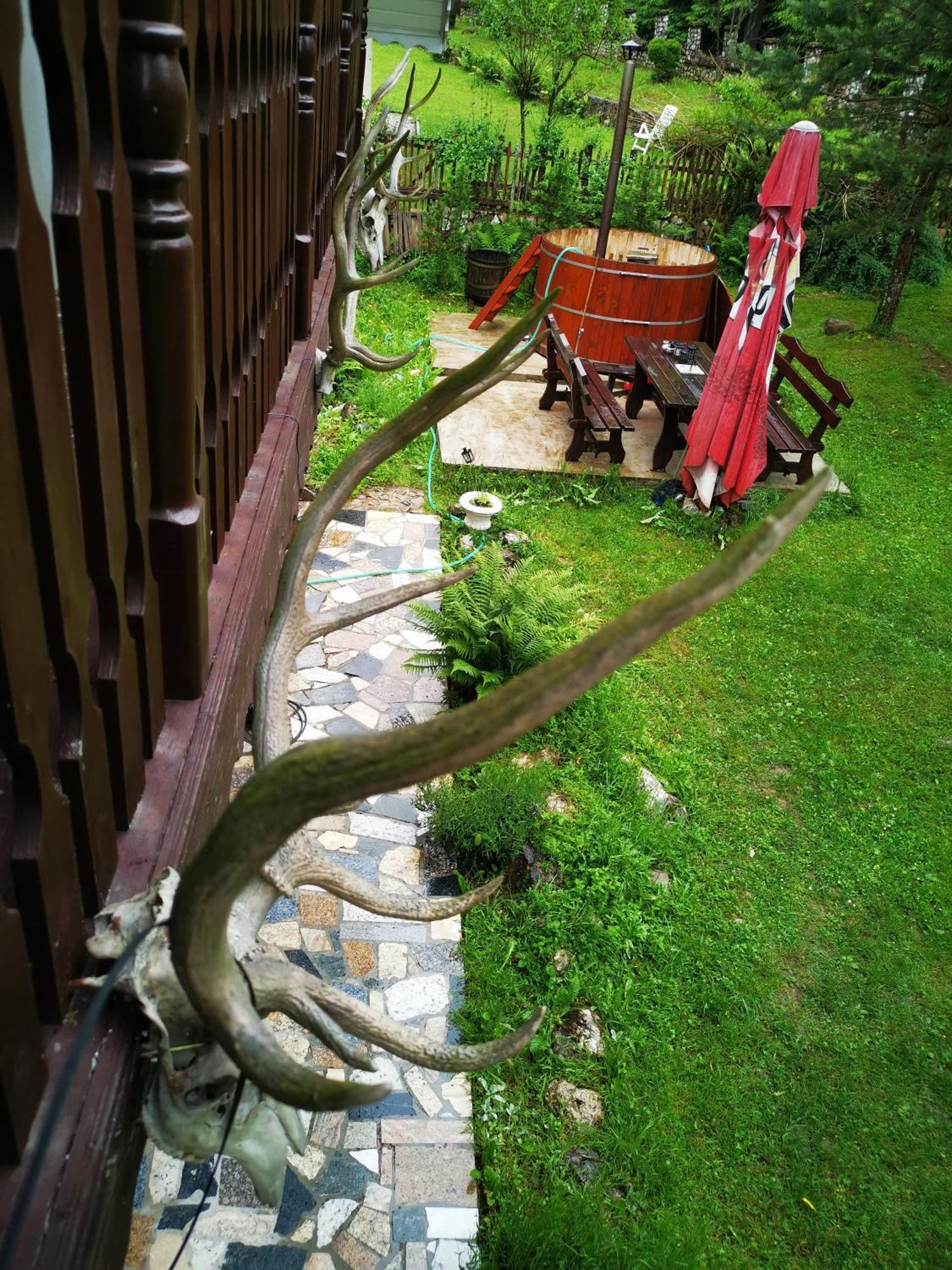 Cabana Valea Rea, Boga Boga  外观 照片
